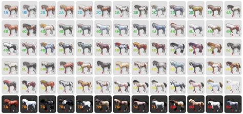 bdo how to breed horses|Horse Breeding Calculator .